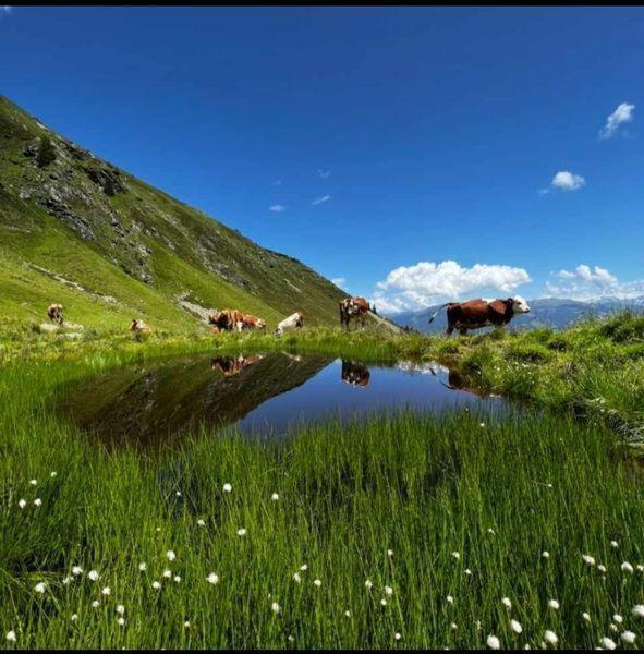 Das Zauberhaft Майрхофен Экстерьер фото